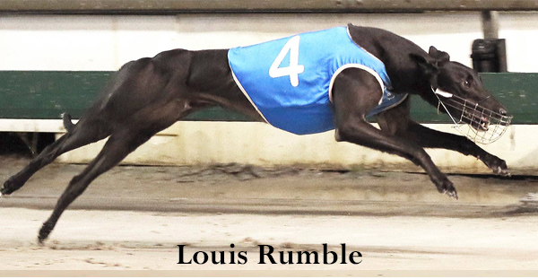 Louis Rumble - Ipswich Cup Winner